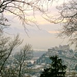 Photo Journal 37
