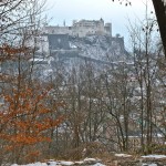 Photo Journal 6