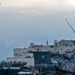 Photo Journal 7